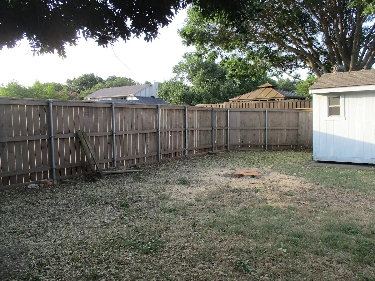 Cleared yard after professional tree removal in North Blenheim
